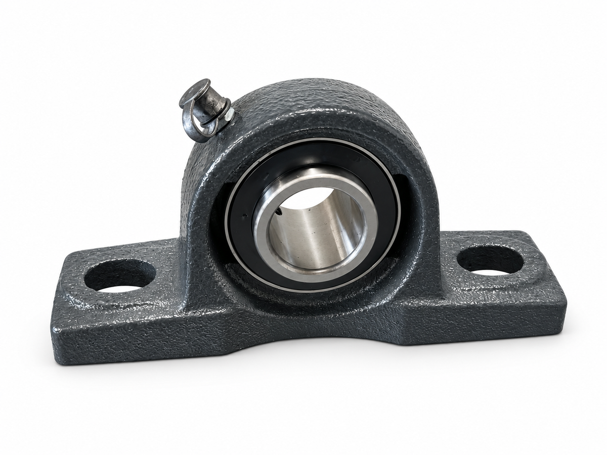 Bearings Set for P Model